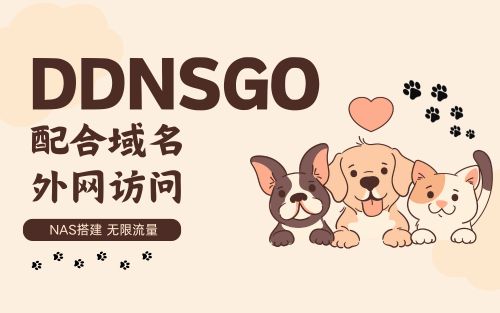 DDNSGO配合域名实现外网访问NAS